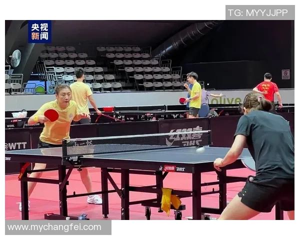 北京乒乓球队速度表现数据分析揭示运动员潜力与训练效果