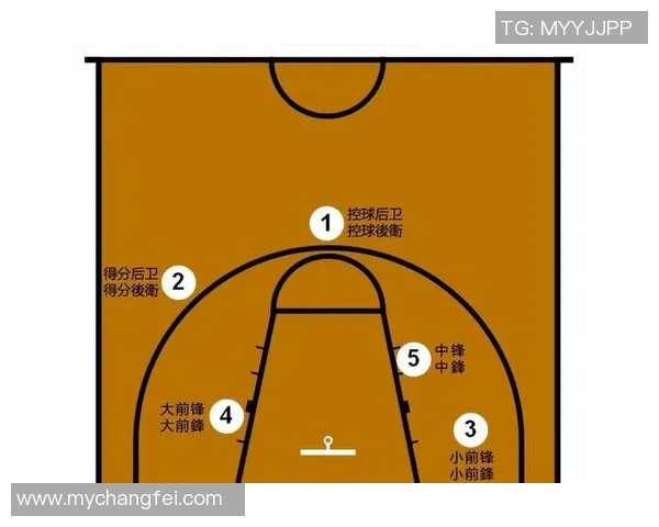 广州篮球队灵活性对比分析揭示战术优势与发展潜力