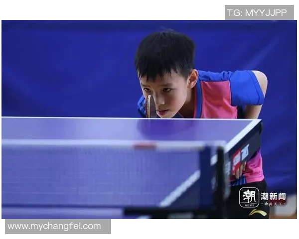 杭州乒乓球队个人能力分析与发展潜力探讨