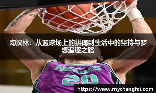 陶汉林：从篮球场上的拼搏到生活中的坚持与梦想追逐之路
